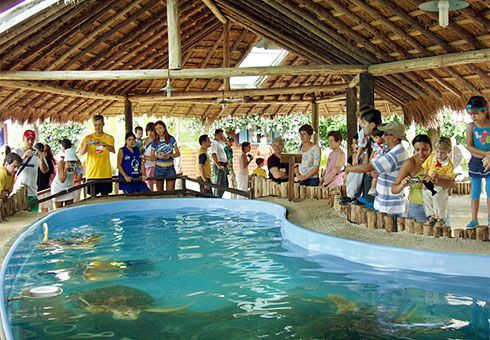 Centros de Visitantes registram aumento de público na temporada